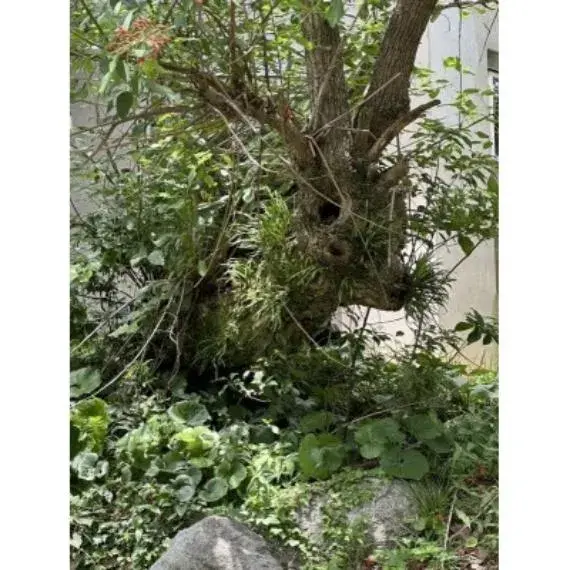 Slide 28