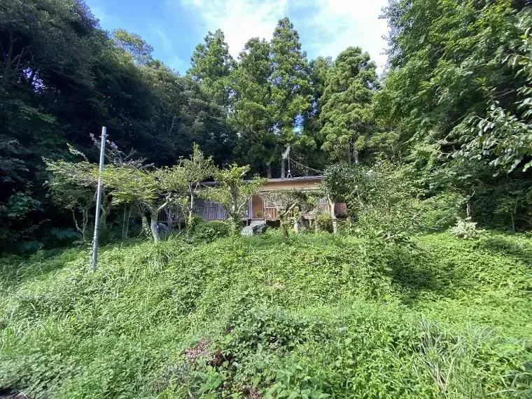 Slide 29