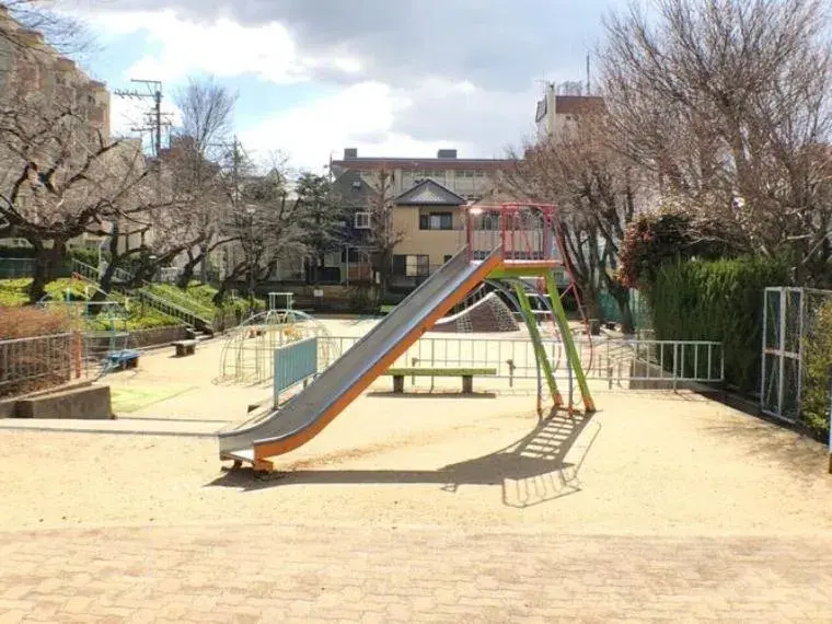Slide 7