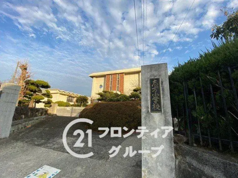 Slide 0