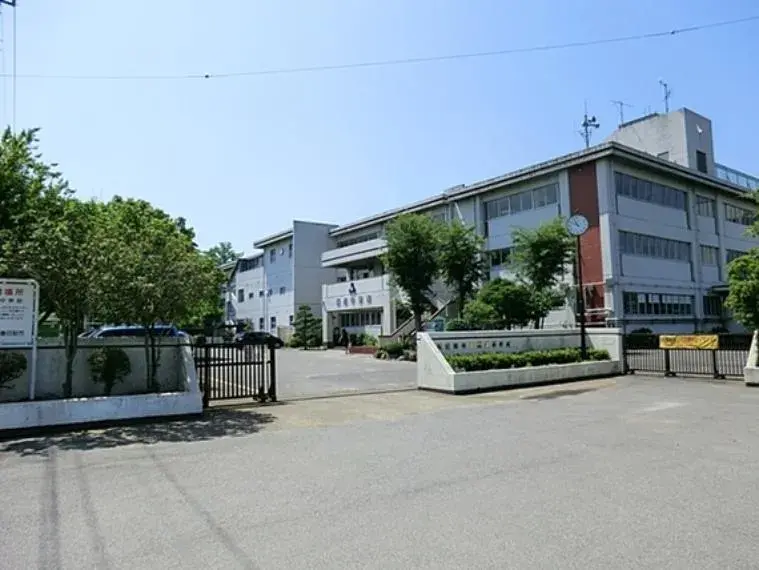 Slide 6