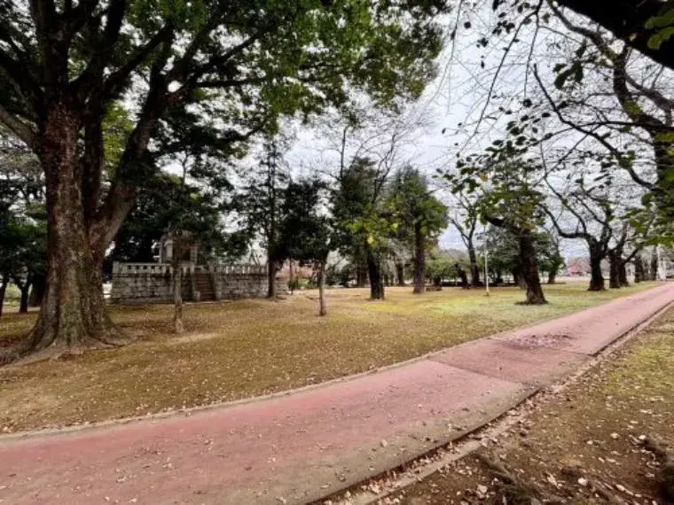 Slide 8