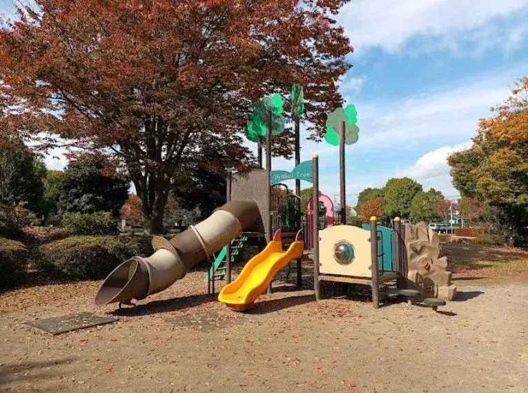 Slide 29