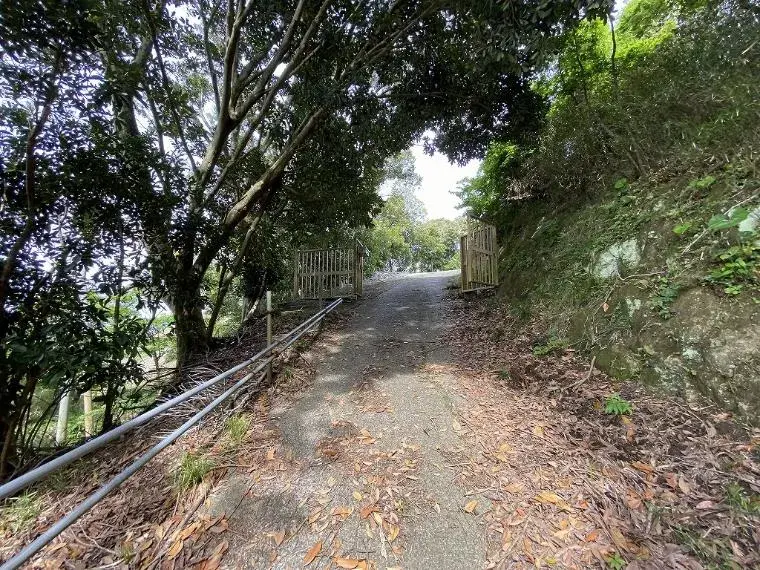 Slide 10