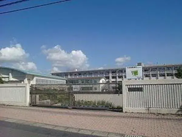 Slide 5