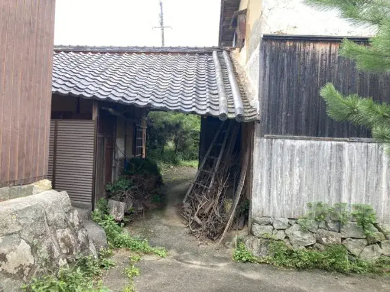 Slide 8