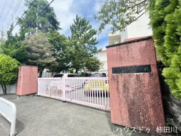 Slide 24