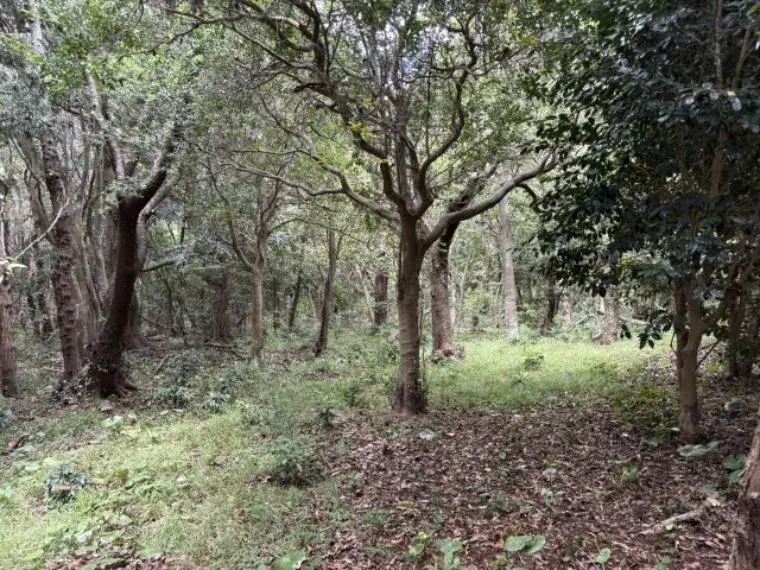 Slide 10