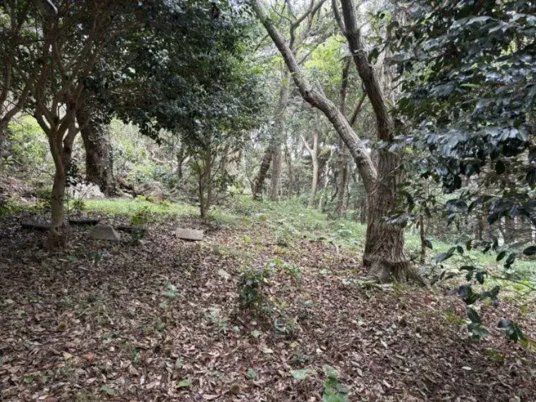 Slide 9