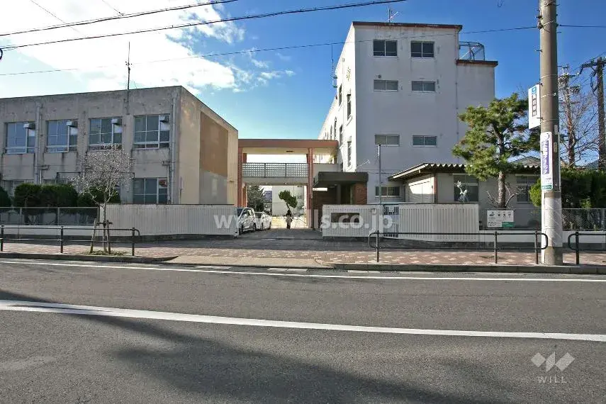Slide 5