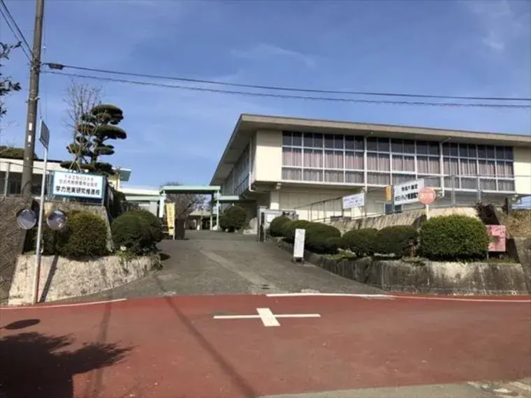 Slide 5