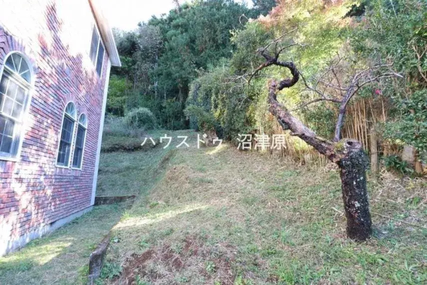 Slide 5