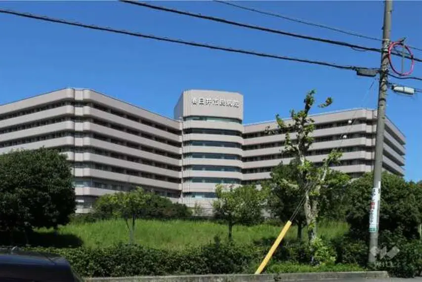 Slide 9