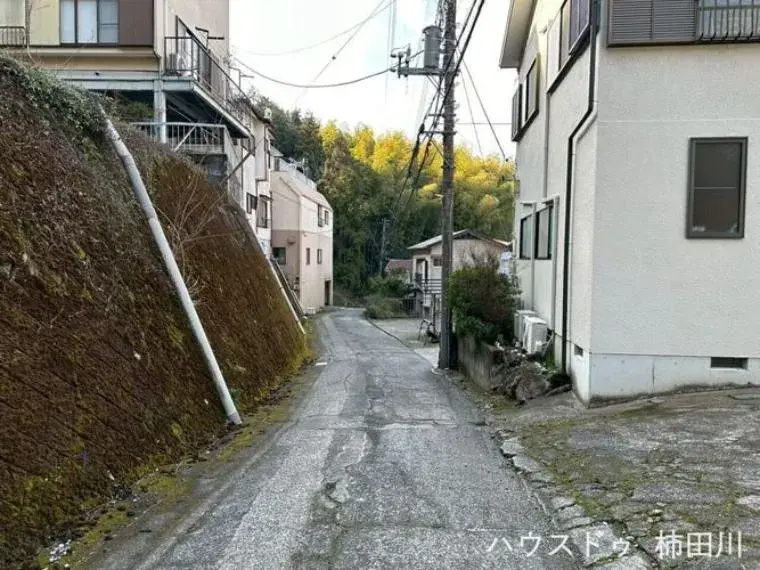 Slide 5