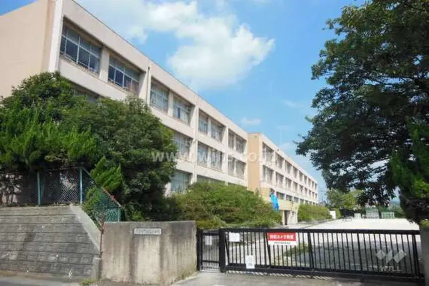 Slide 8