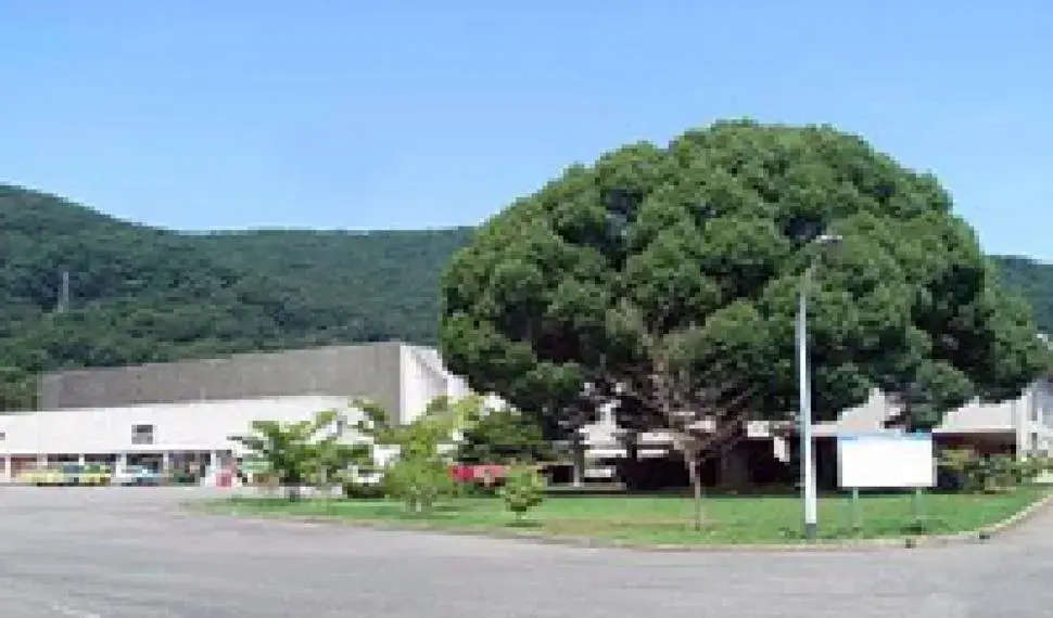 Slide 31
