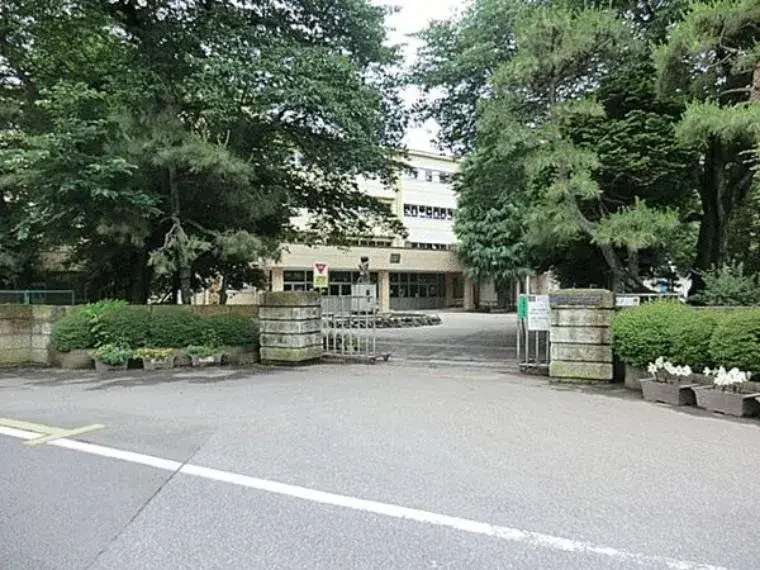 Slide 1