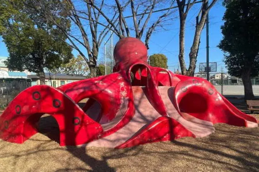 Slide 8