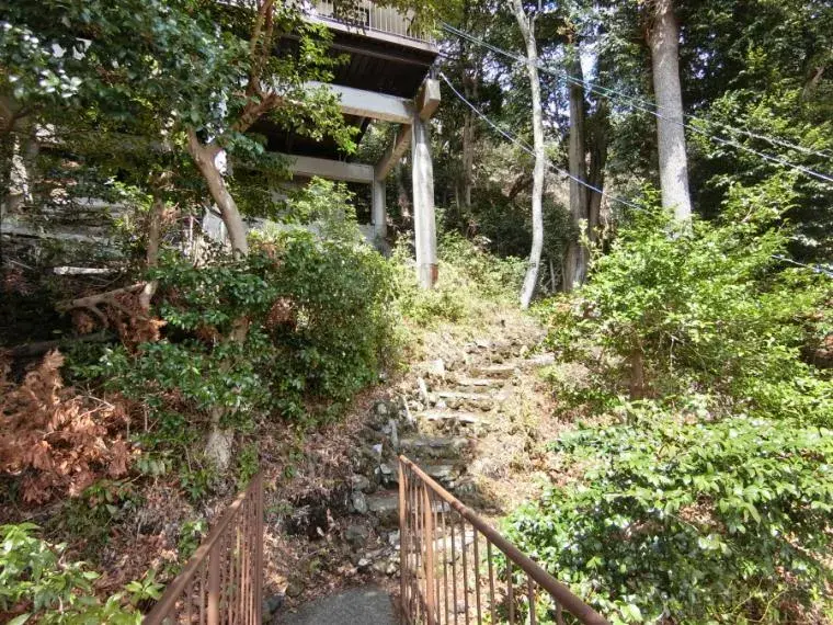 Slide 3