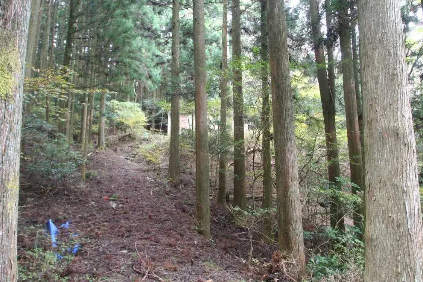 Slide 15