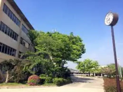 Slide 5