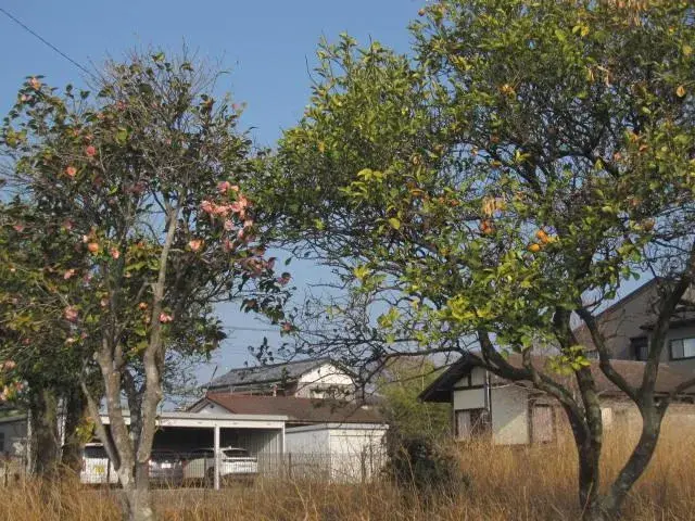 Slide 7