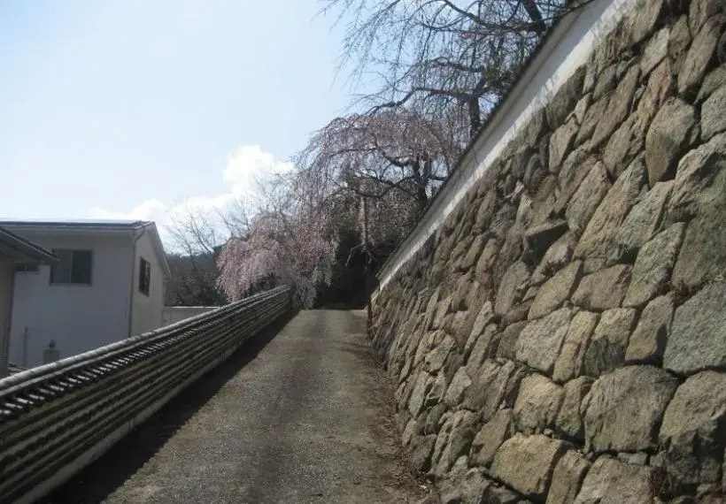 Slide 4