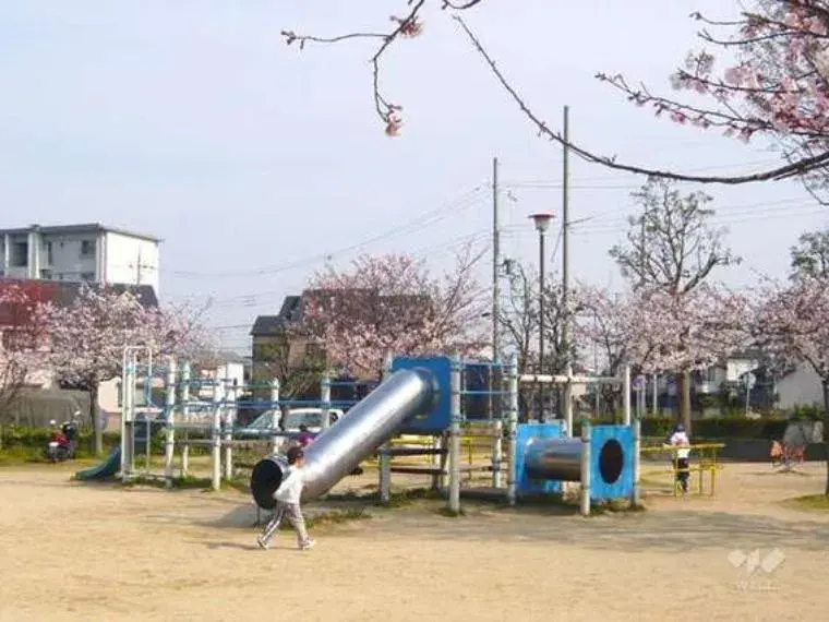 Slide 7
