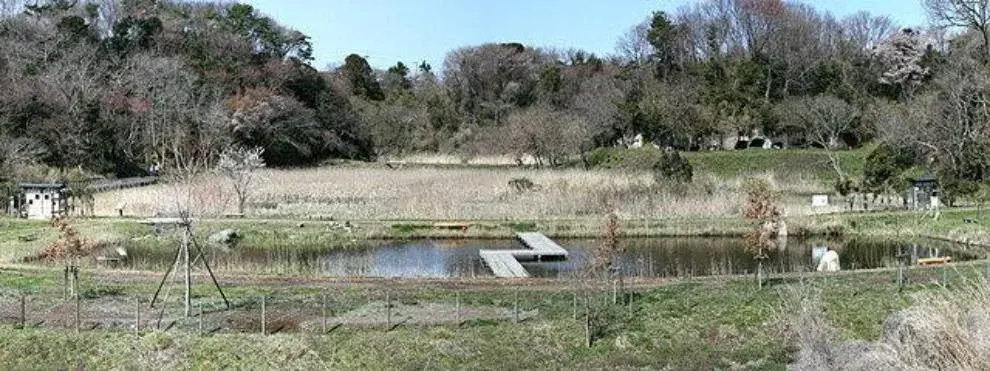 Slide 23