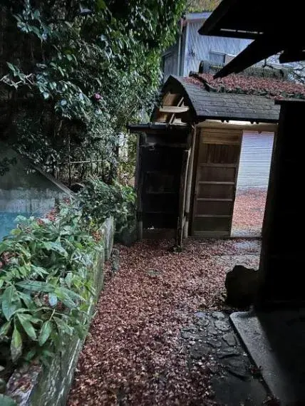 Slide 4