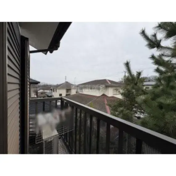 Slide 5