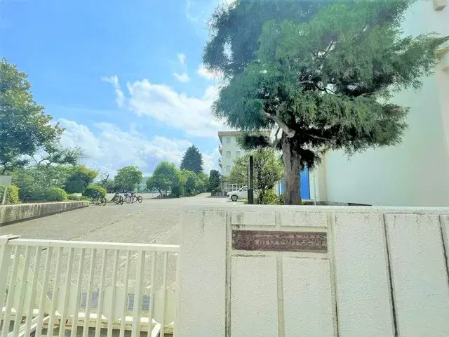 Slide 23