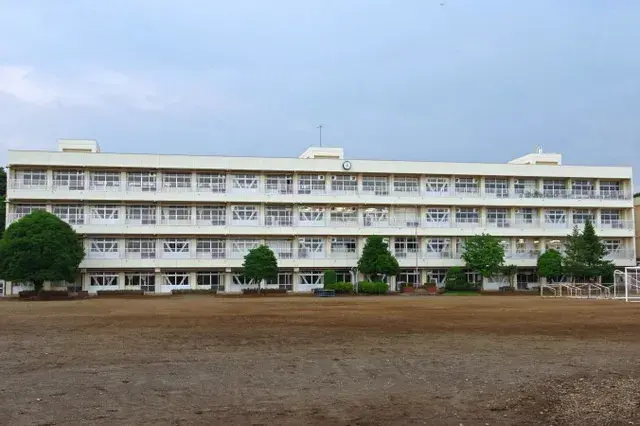 Slide 17