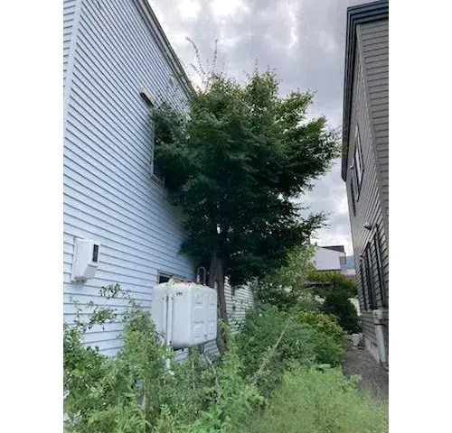 5LDK Property Sapporo City Hokkaido (4)