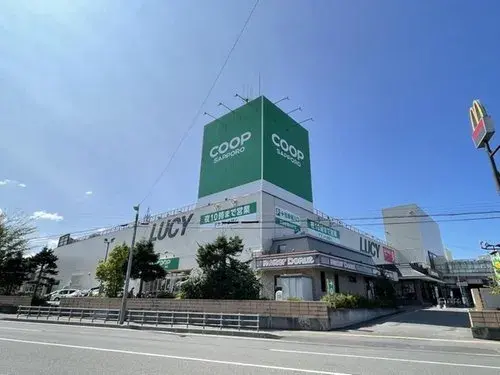 3LDK Property Sapporo City Hokkaido (19)