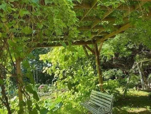 7DK Property Shibecha Town Hokkaido (19)