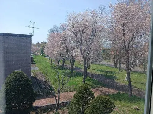 5LLDDKK Property Sapporo City Hokkaido (24)
