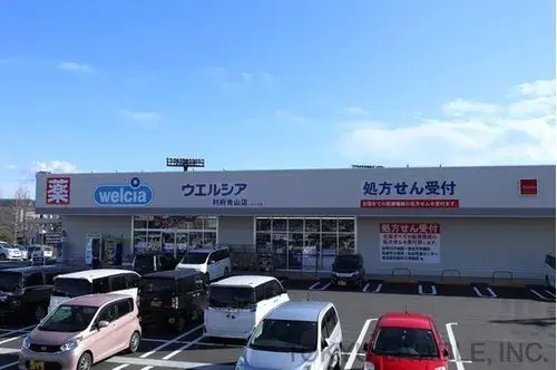 4LDK Property Rifu-cho Miyagi Prefecture (15)