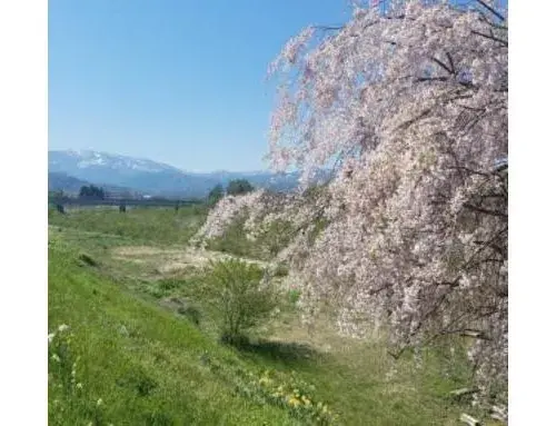 5DK+S Yonezawa City Yamagata Prefecture (19)
