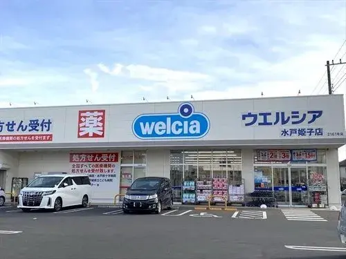 4DK Property Mito City Ibaraki Prefecture (18)