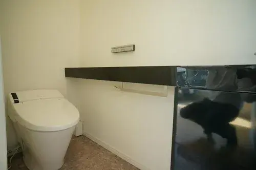4LDK+S Property Hitachinaka City Ibaraki Prefecture (12)