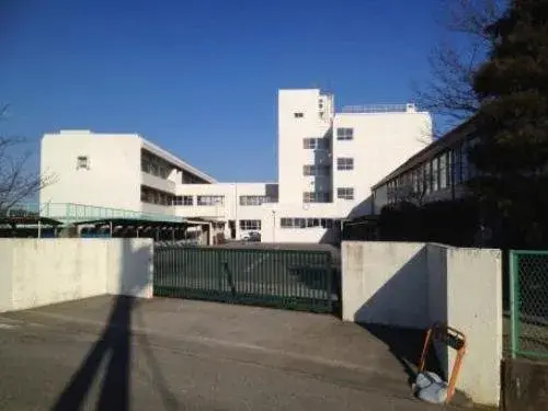 Slide 6