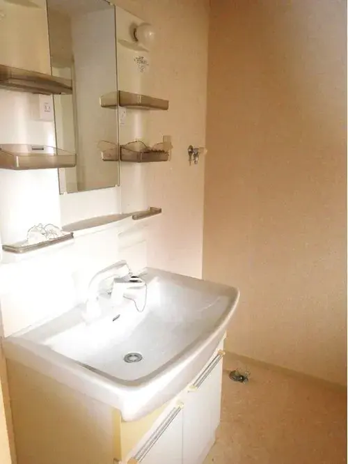 4LDK Property Hidaka City Saitama Prefecture (17)