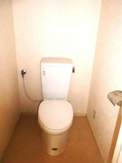 4LDK Property Hidaka City Saitama Prefecture (18)