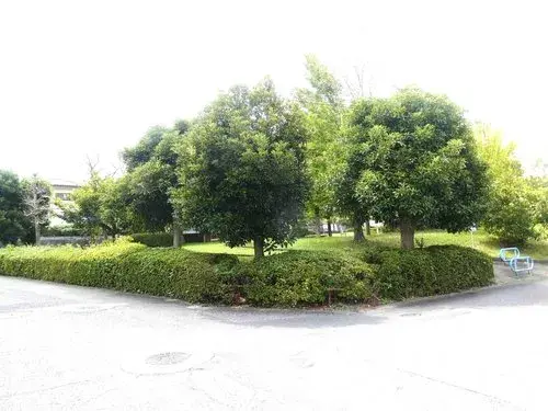 4LDK Property Hidaka City Saitama Prefecture (25)