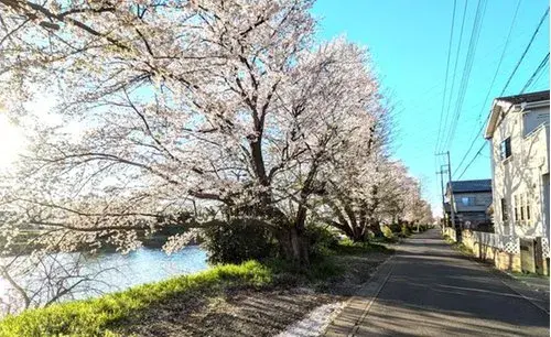 4LDK Property Hasuda City Saitama Prefecture (3)