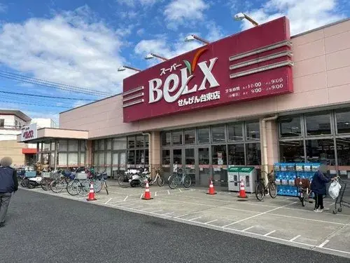 2LDK Property Koshigaya City Saitama Prefecture (15)