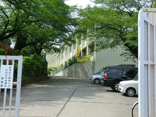 Slide 17