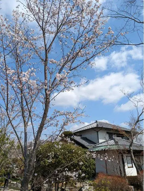 7LDK+2S Property Hanyu City Saitama Prefecture (7)