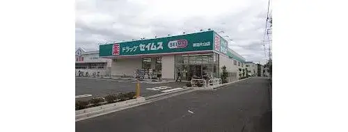 3LDK+S Niiza City Saitama Prefecture (15)